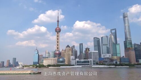上海悉成资产管理有限公司