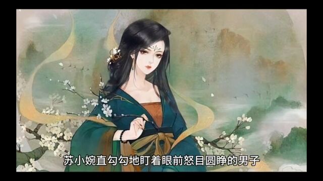 精选爽文《佛子清高,胡姬不好撩》苏小婉陈寰小说未删减版