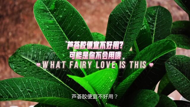 芦荟胶便宜不好用?可能是你不会用哦