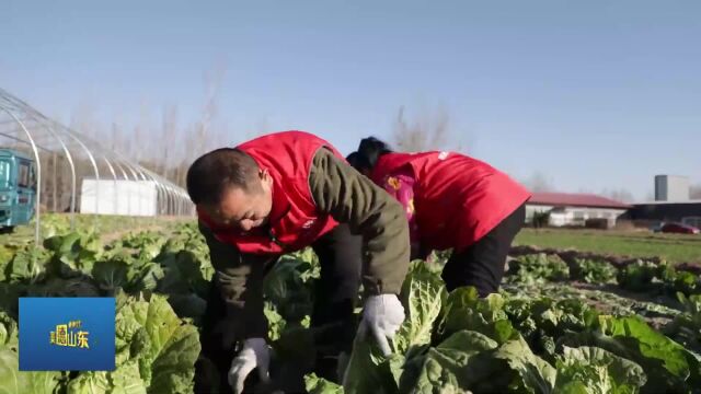 新时代美德山东 | 聊城市东昌府区:美德和信用双向奔赴 “信义东昌府”深入人心