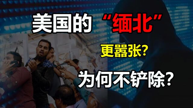 美国的“缅北”诈骗集团,每年骗取上百亿,为何不铲除?