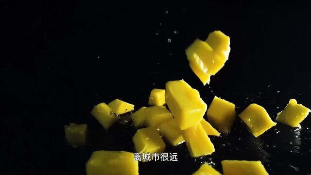 天府粮仓ⷩ‡‘字招牌 | 川字号养成记——攀枝花芒果