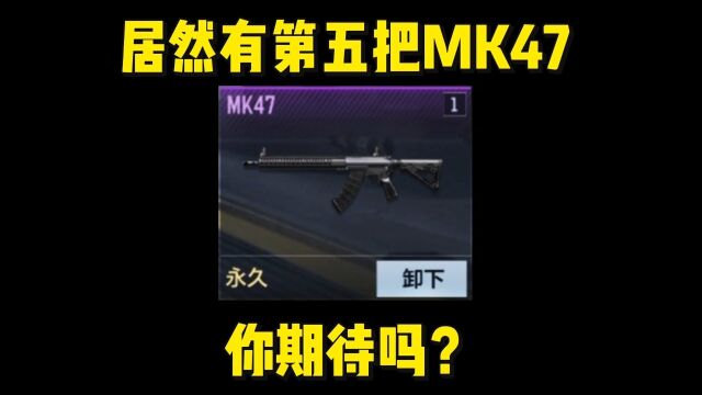 居然有第五把MK47系列武器,你们期待吗?