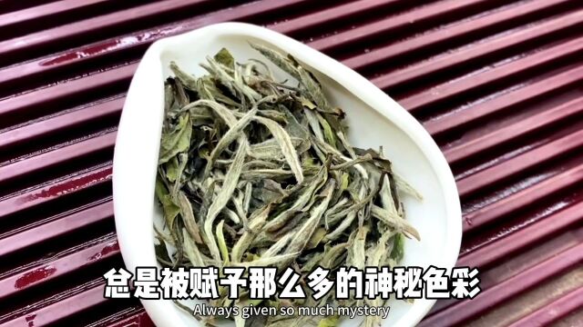 你知道什么是白茶吗?清润温和,独具风韵的白茶又都有什么分类? #茶 #茶知识 #茶文化