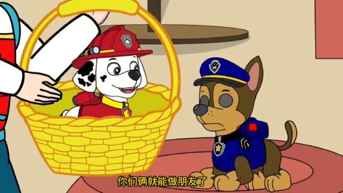 汪汪队玩具：坏蛋韩定娜市长绑架了狗狗，莱德为救它们身负重伤！ #汪汪队立大功 #儿童卡通 #