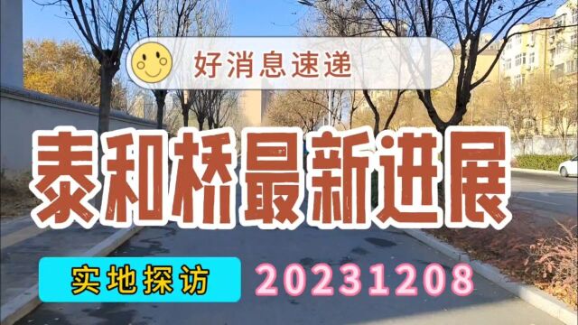 实地探访:泰和桥最新进展20231208