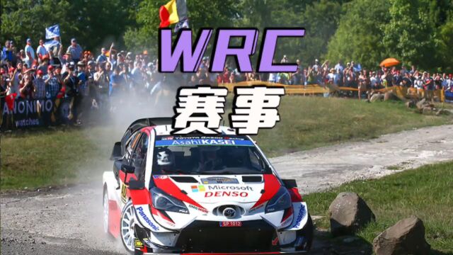 WRC拉力赛,要来国内举办分站赛了!