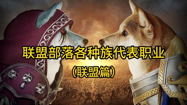 魔兽世界:联盟部落各种族代表职业(联盟篇)