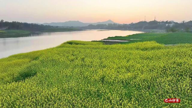 四川达州:美丽富饶的葡萄坝 充满希望的田野上 半年拍摄素材