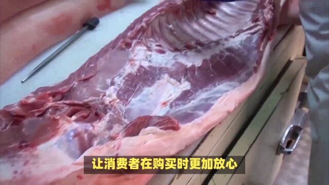 猪肉上面的盖章,“红章”与“蓝章”都有啥区别?看完别再乱买了