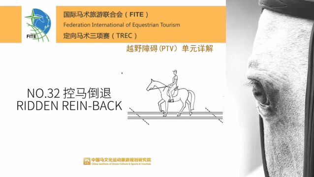 TREC定向马术三项赛障碍详解No.32 控马倒退