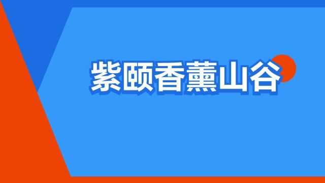 “紫颐香薰山谷”是什么意思?