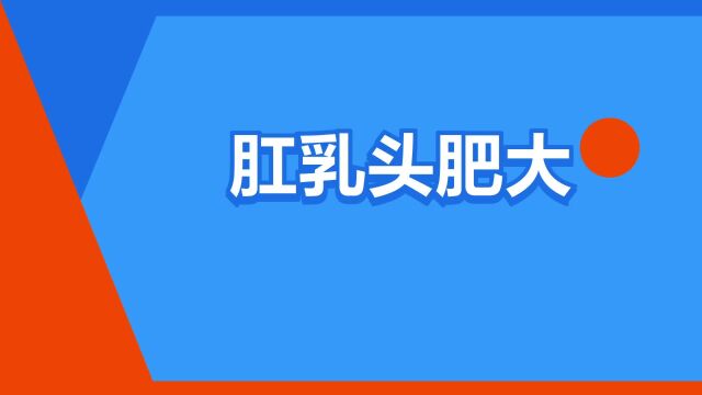 “肛乳头肥大”是什么意思?