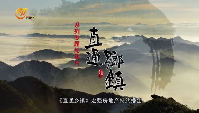 直通乡镇08河朗:茶香情浓