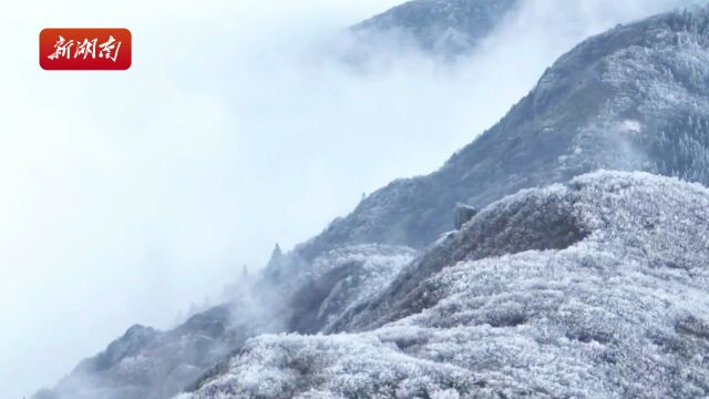 浏阳大围山迎来今冬第一场雪