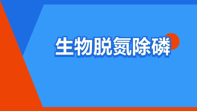 “生物脱氮除磷”是什么意思?