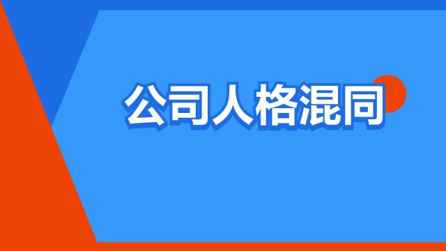 “公司人格混同”是什么意思?