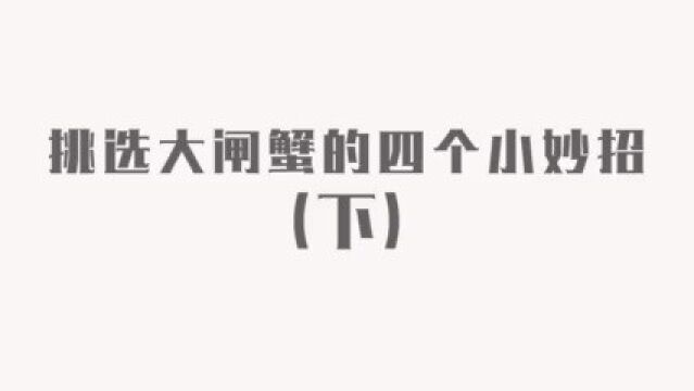 大闸蟹好不好,看这里就知道了,学会这个技巧选大闸蟹就是这么简单