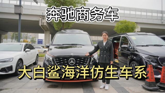 奔驰高顶V260L,傲旋大白鲨军工企业出品,93.8万对标丰田埃尔法