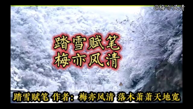 梅亦风清诗词:《踏雪赋笔》作者:梅亦风清 云女拈花散作雪 雪在枝头月在山