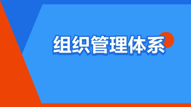 “组织管理体系”是什么意思?