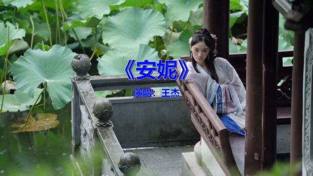 经典流行歌曲《王杰安妮》你听过吗