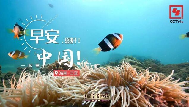 碧海蓝天 浪漫三亚