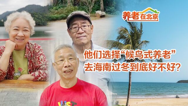 养老在北京|他们选择“候鸟式养老”,在海南过冬过得顺心吗?