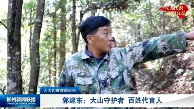 人大代表履职日志 郭建东:大山守护者 百姓代言人