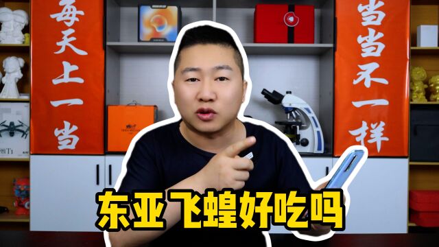 你们敢吃这个来自云南的美食吗?东亚飞蝗!