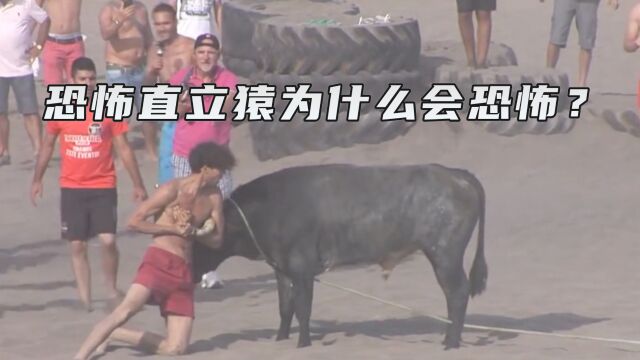 恐怖直立猿为什么会恐怖?不是害怕战斗,而是想无伤完胜