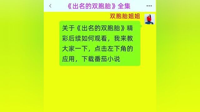 《出名的双胞胎》全集#番茄小说