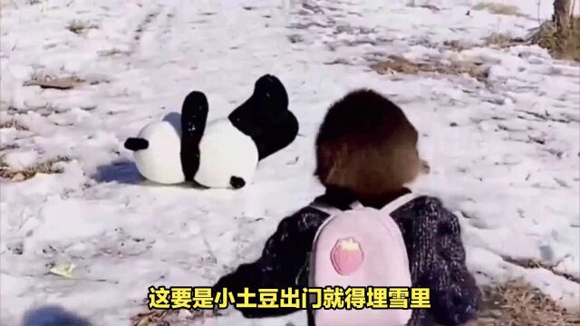 山东威海的雪有多大