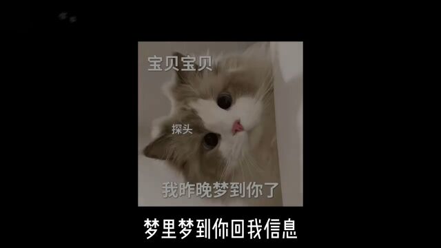 把你没来得及说的话留下来吧 别让他消失.