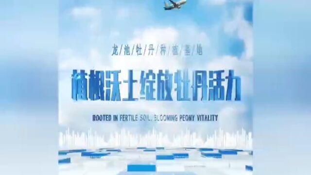 山东菏泽:龙池牡丹一二三产融合发展赋能乡村振兴