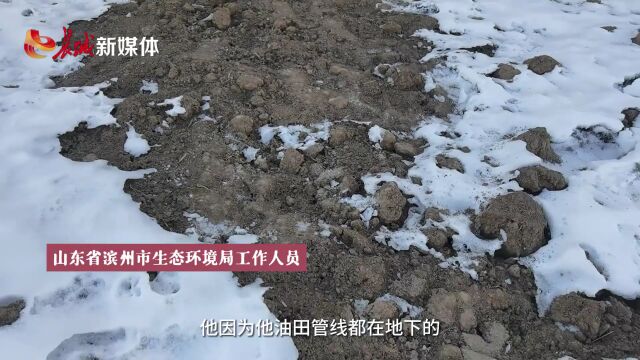 长城调查 | 山东滨州一地原油泄漏污染麦地 当地为啥讳莫如深?