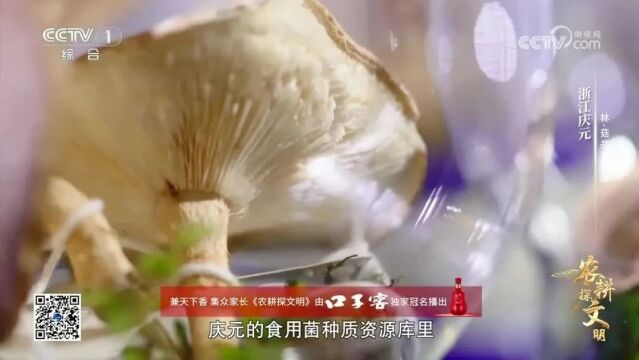 厉害了!庆元霸屏CCTV1整整30分钟!让世界知晓庆元~