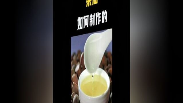 原来茶油是这样制作的,一起看看茶油的制作过程吧