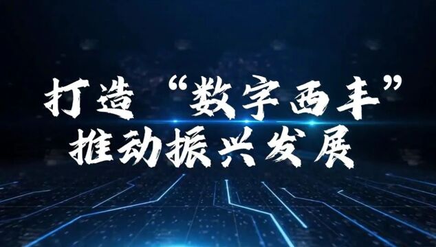 加“数”前行打造乡村振兴“新引擎”——全市数字乡村建设工作巡礼