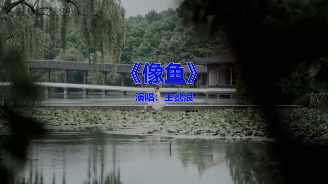 经典流行歌曲《王贰浪像鱼》歌词感人