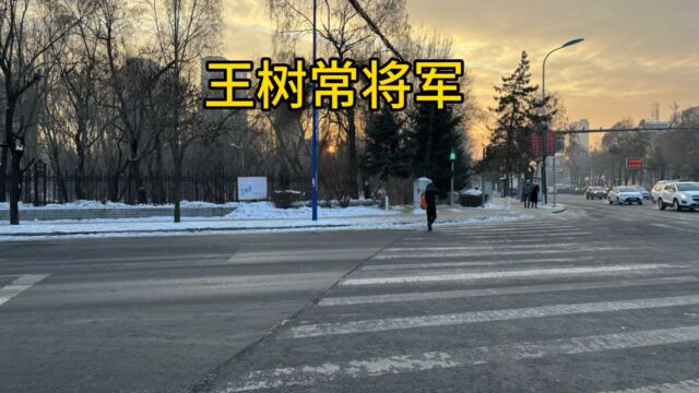 王树常将军