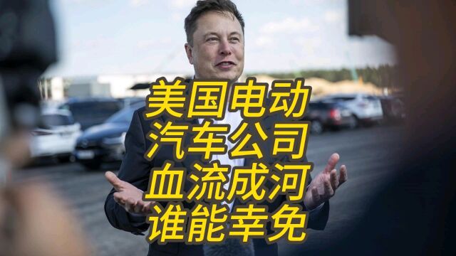 美国电动汽车公司“血流成河”,谁能幸免?