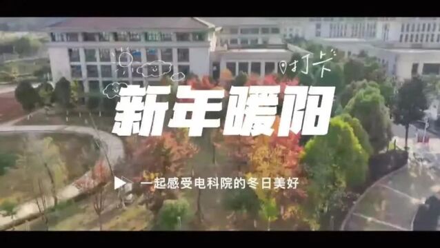 大学生联盟丨2023年最后一天的阳光,祝大家丝滑奔向2024!