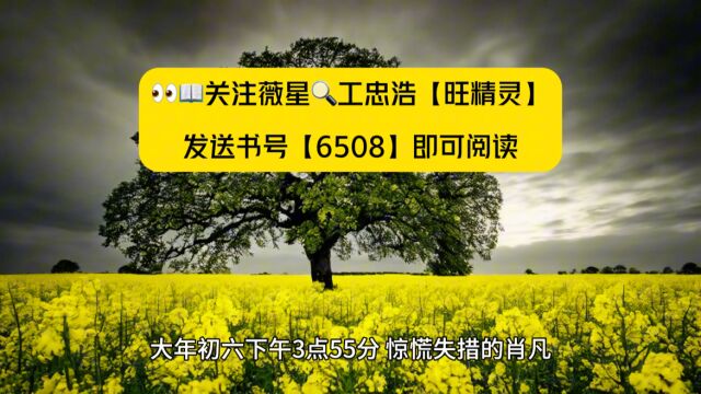 《东莞:再遇初恋》肖凡都市热书全文在线阅读◇已完结