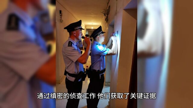 内蒙古警方通报涉黄女主播:打击网络犯罪,维护清朗网络环境