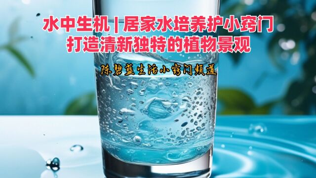 水中生机 | 居家水培养护小窍门,打造清新独特的植物景观