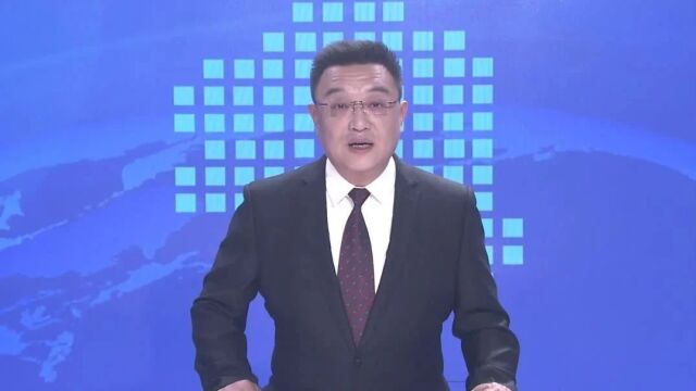 市政协委员颜佳佳:为政务服务“问诊把脉”