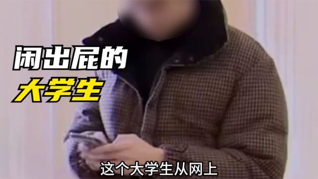 论大学生到底能有多闲?