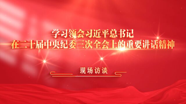 现场访谈丨在铲除腐败问题产生的土壤和条件上持续发力 纵深推进