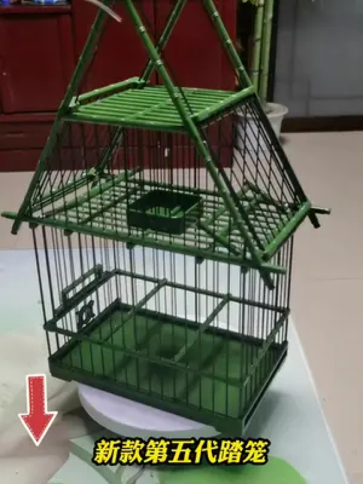 养鸟经验分享 #鸟笼